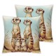 Ulloord Cute Meerkats Throw Pillow Covers  Kids Cartoon Animals Cushion Covers for Couch Sofa African Tropical Wildlife Decorative Pillowcases Blue White Grid Outdoor Pillows Covers