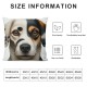 Ulloord  Throw Pillow Covers Russell Terrier Cushion Cases Home Office Sofa Hidden Zipper Pillowcase Square  Two Sides Printed