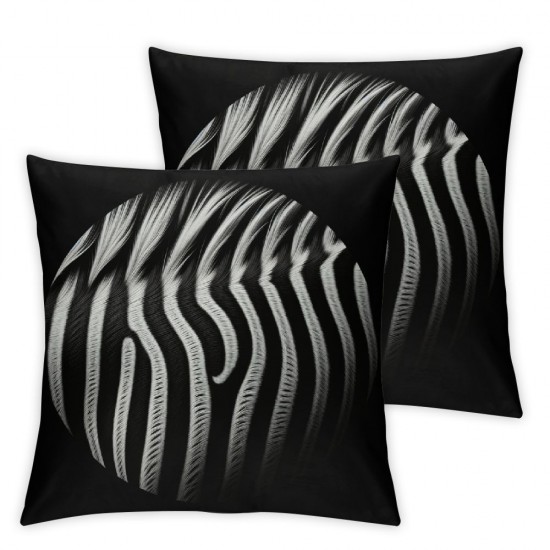 Ulloord Zebra Skin Print Pillow Cover Reversible Print Modern Chic Black Square Throw Pillow Cover for Bed or Sofa Decor Beige Background Decorative Cushion Cover