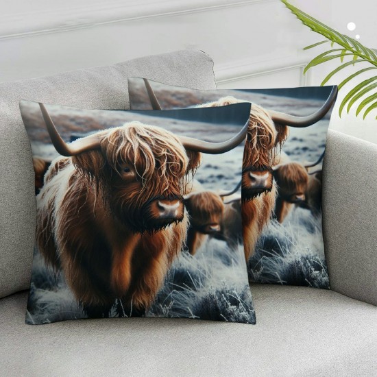 Ulloord Throw Pillow Covers