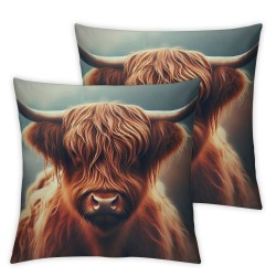 Ulloord Throw Pillow Covers