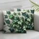 Ulloord Ivy Floral Throw Pillow Covers Botanical Vine Green Leaves Wall Watercolors Rustic Gray Soft Velvet Decor Suitable for Outdoor Patio Porch Living Room Sofa Pillow case