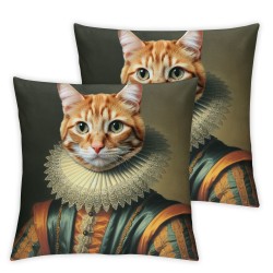 Ulloord cat Throw Pillow Covers Aesthetic Luxury Cute Animals Colorful Soft Cozy Velvet Washable Outdoor Home Decor Square for Chair Bed Sofa Cushion Cover