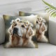 Ulloord Cute Dog Throw Pillow Covers Nature Animal Daisy Wreath Cottage core Oil Art Beige Soft Velvet Fabric washableroom Dorm Indoor Outdoor Decor Cushion Cover Square